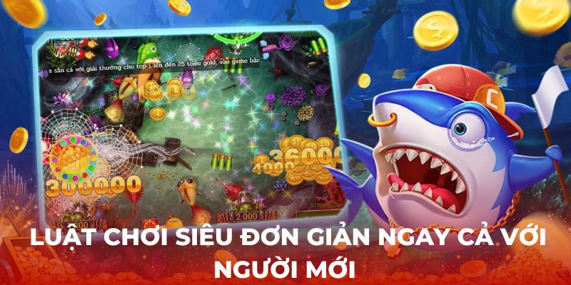 Luật chơi siêu đơn giản ngay cả với người mới 