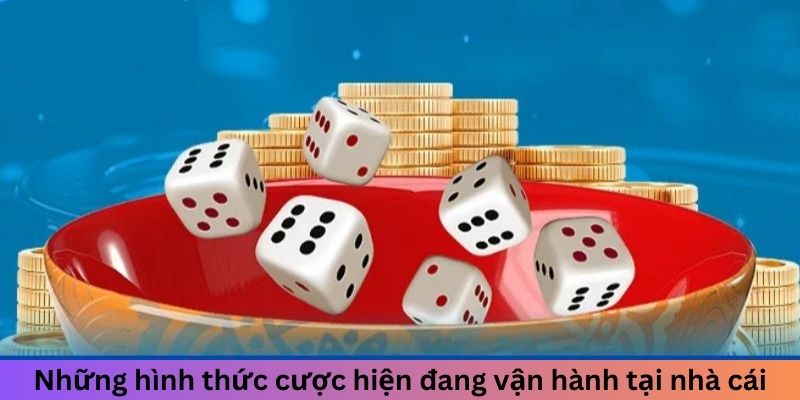 Nhiều cửa cược cho hội viên thử sức